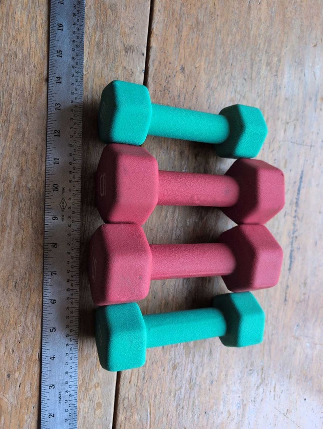 Pro-Form Dumbbells lot of 4 (2x5lb, 2x3lb)