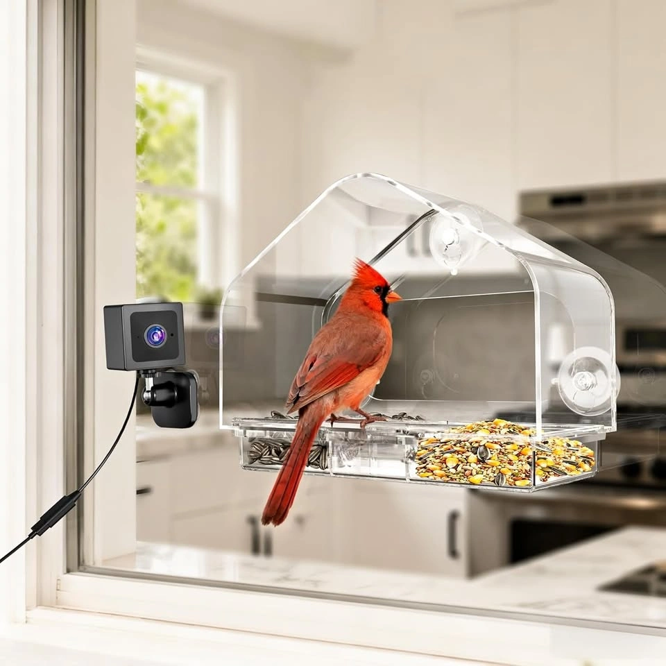 Smart Window Bird Feeder Camera - Cash Only