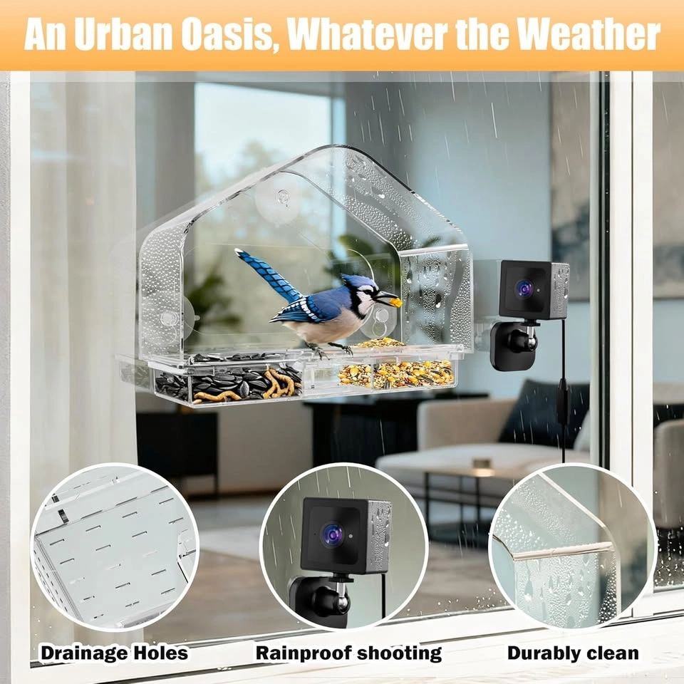 Smart Window Bird Feeder Camera - Cash Only - photo 2