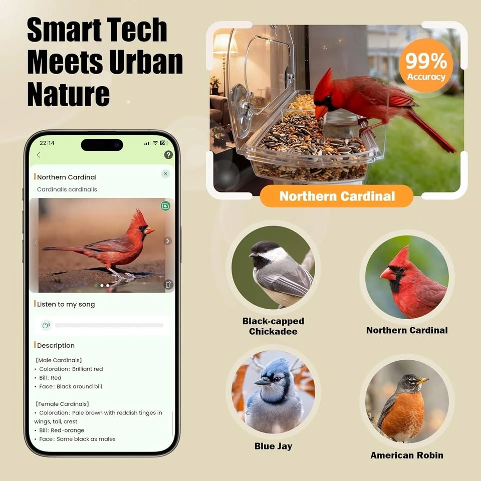 Smart Window Bird Feeder Camera - Cash Only - photo 3