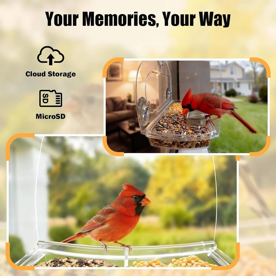 Smart Window Bird Feeder Camera - Cash Only - photo 5