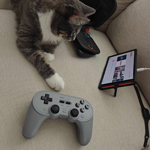 8BitDo 2 Pro (Hall Effect)