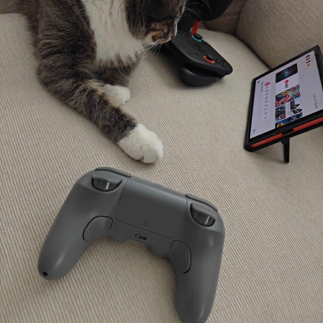 8BitDo 2 Pro (Hall Effect) - photo 2
