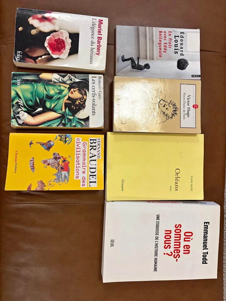 French Books: Barbery, Gary, Hugo & More
