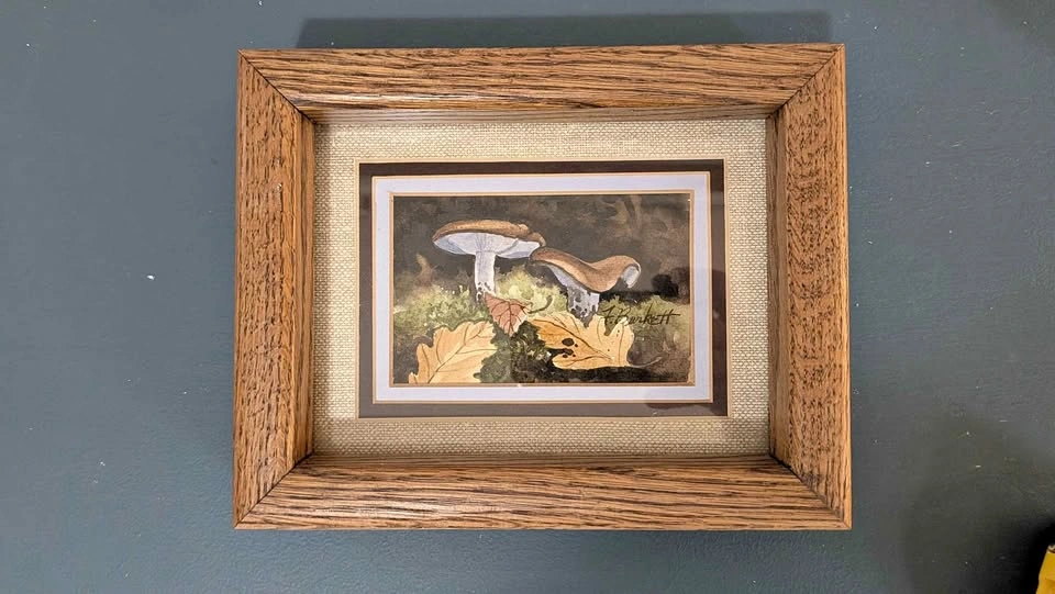 Vintage Framed Original Watercolor: Woodland Mushrooms