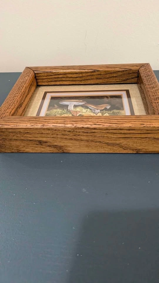Vintage Framed Original Watercolor: Woodland Mushrooms - photo 2