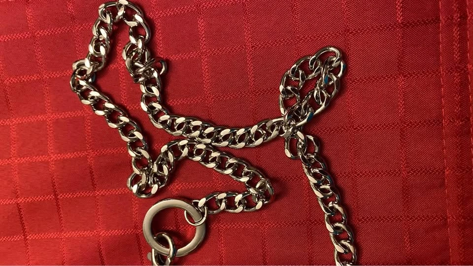 STAINLESS STEEL BELT BRAND NEW - photo 3