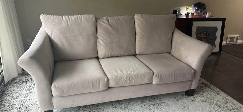 Two Couches-EACH is FREE - photo 4