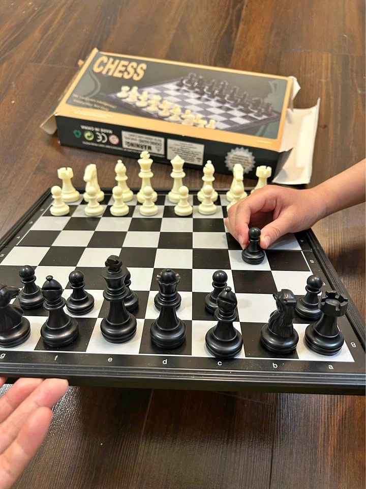 Magnetic Chess Set - Large Folding Board Game