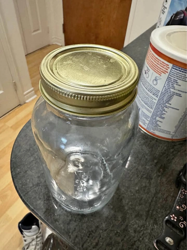 12 Mason Glass Jars with Lids