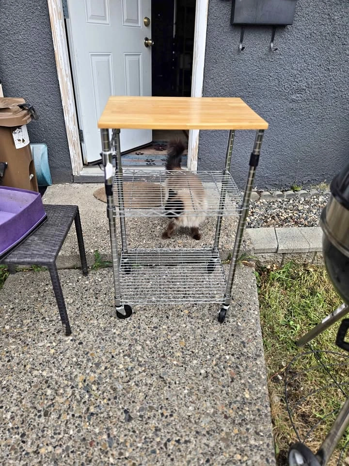 Metal Kitchen Cart