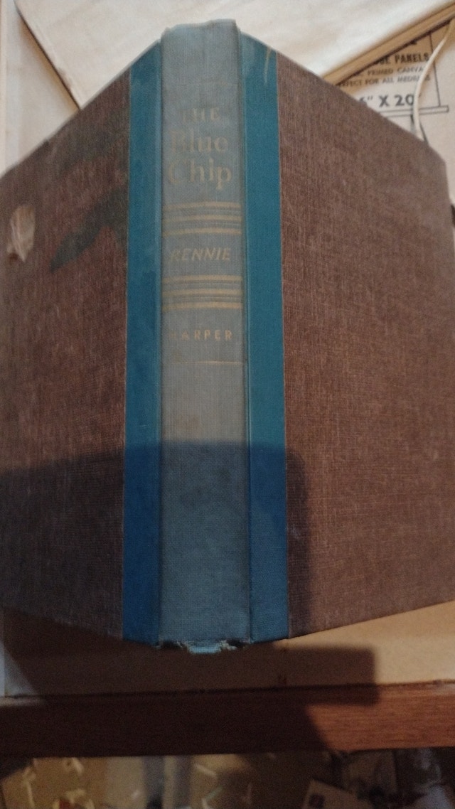 The Blue Chip by Ysabel Rennie - 1954 First Edition - photo 2