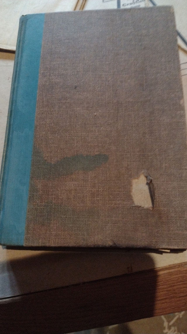 The Blue Chip by Ysabel Rennie - 1954 First Edition - photo 3