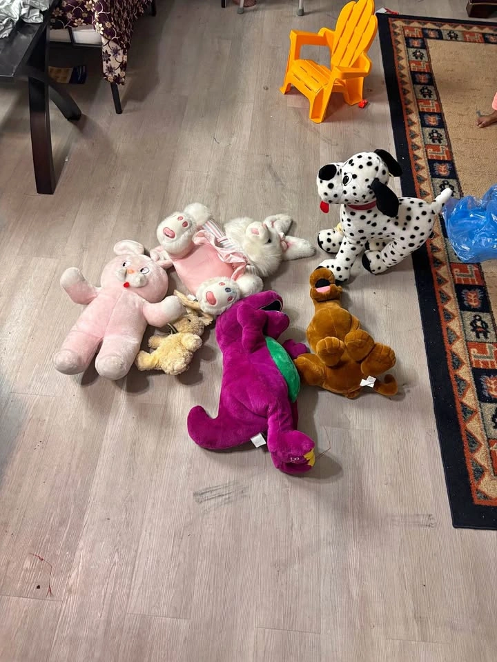 6 Unique Teddy Bears for Sale – All for Only $10!