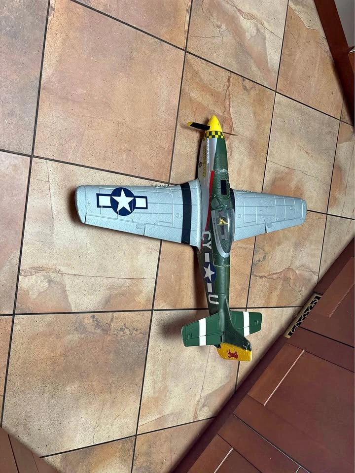 RC P-51 Mustang Model Plane Eflite
