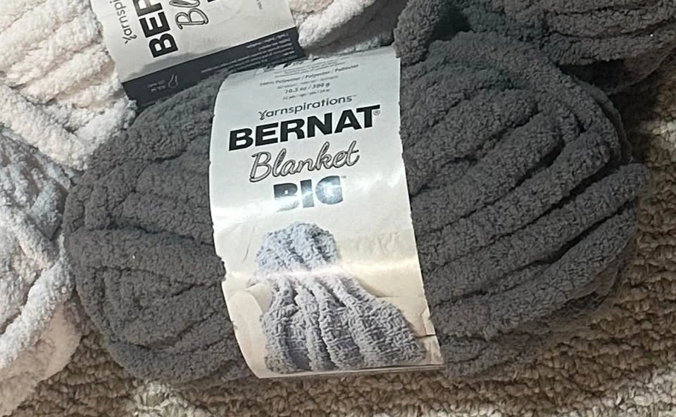 6 Bernat Blanket Big Yarn Skeins - photo 2