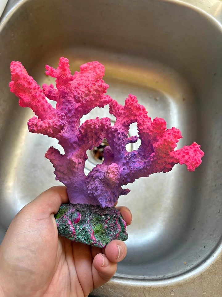 Aquarium decor
