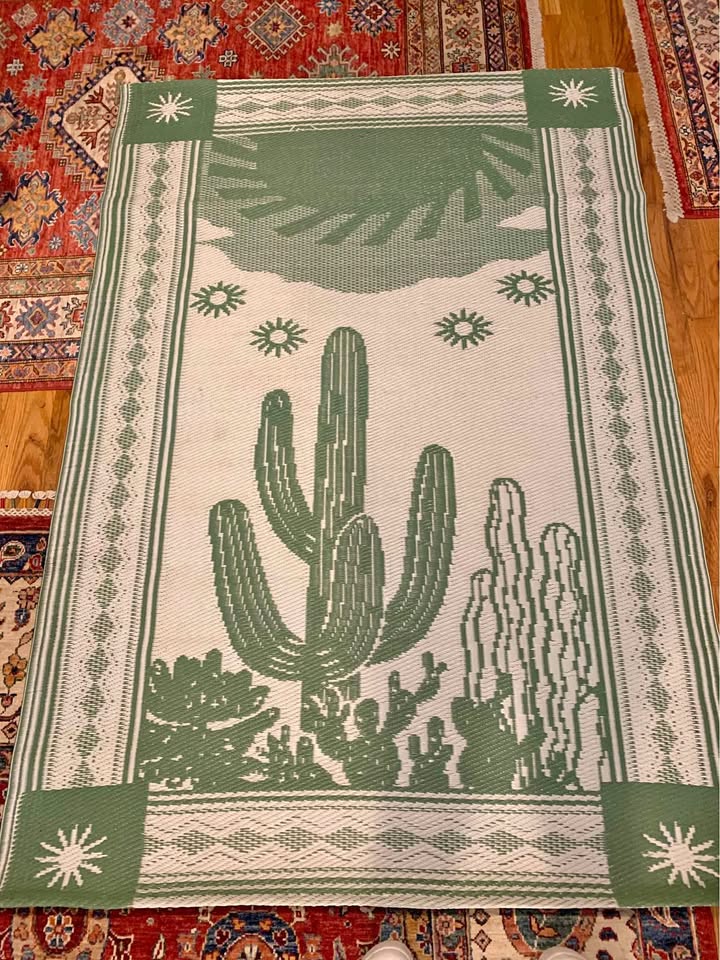 World Market Indoor/Outdoor Reversible Carpet