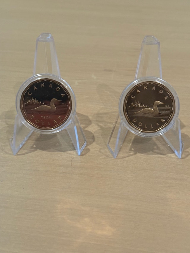 Loonie Dollar Coins