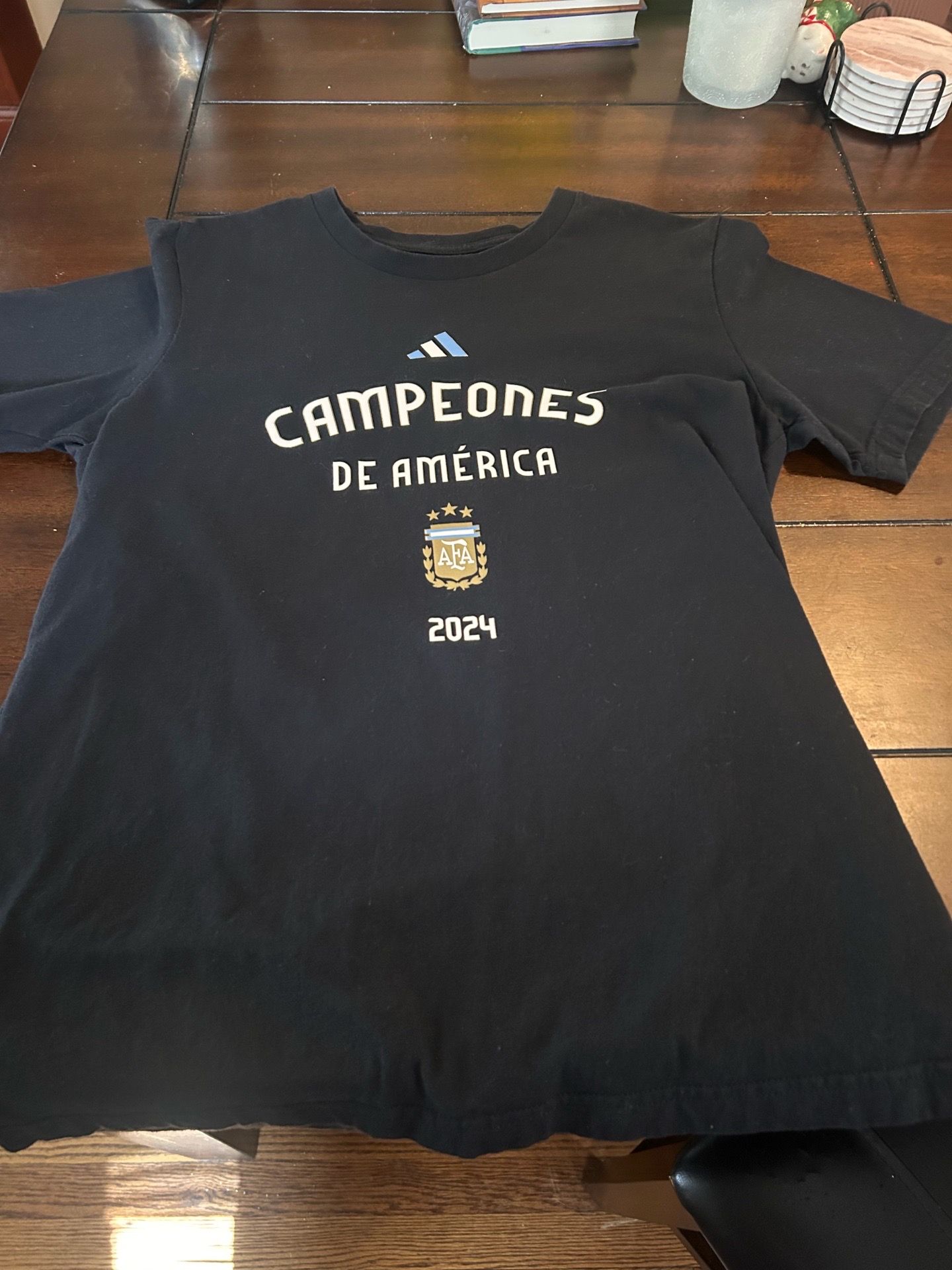 Argentina Copa América