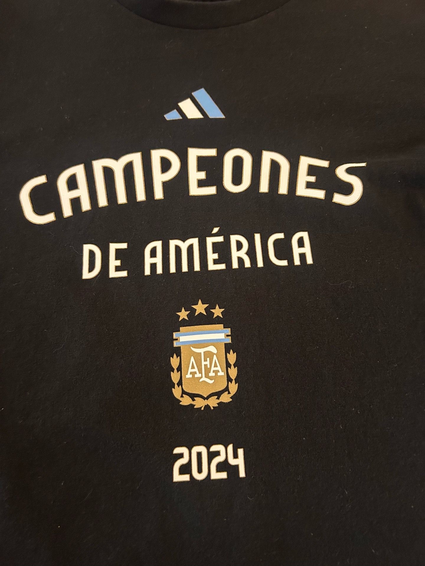 Argentina Copa América - photo 2
