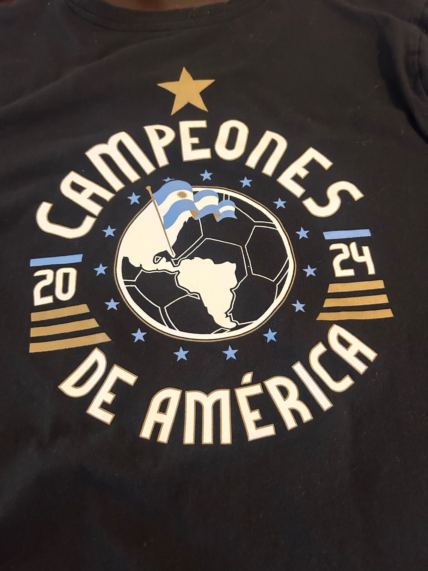 Argentina Copa América - photo 5