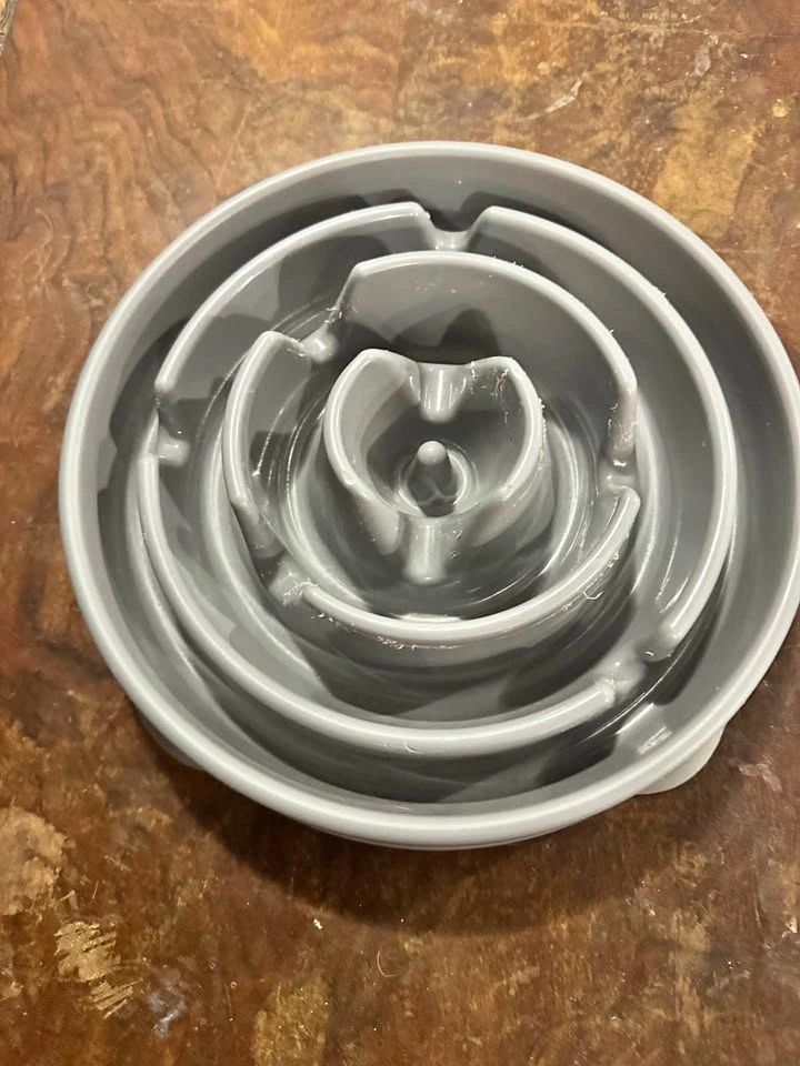 Outward Hound Gray Slow Feeder Pet Bowl