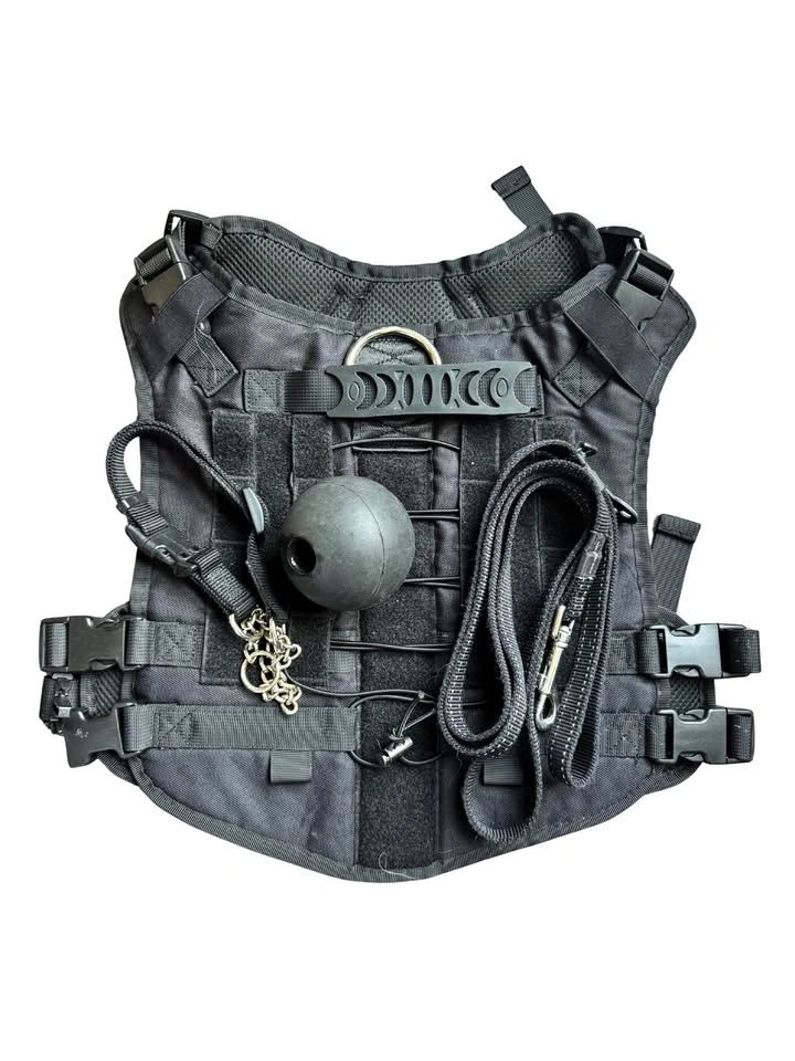Black Tactical Dog Harness with Leash and Toys