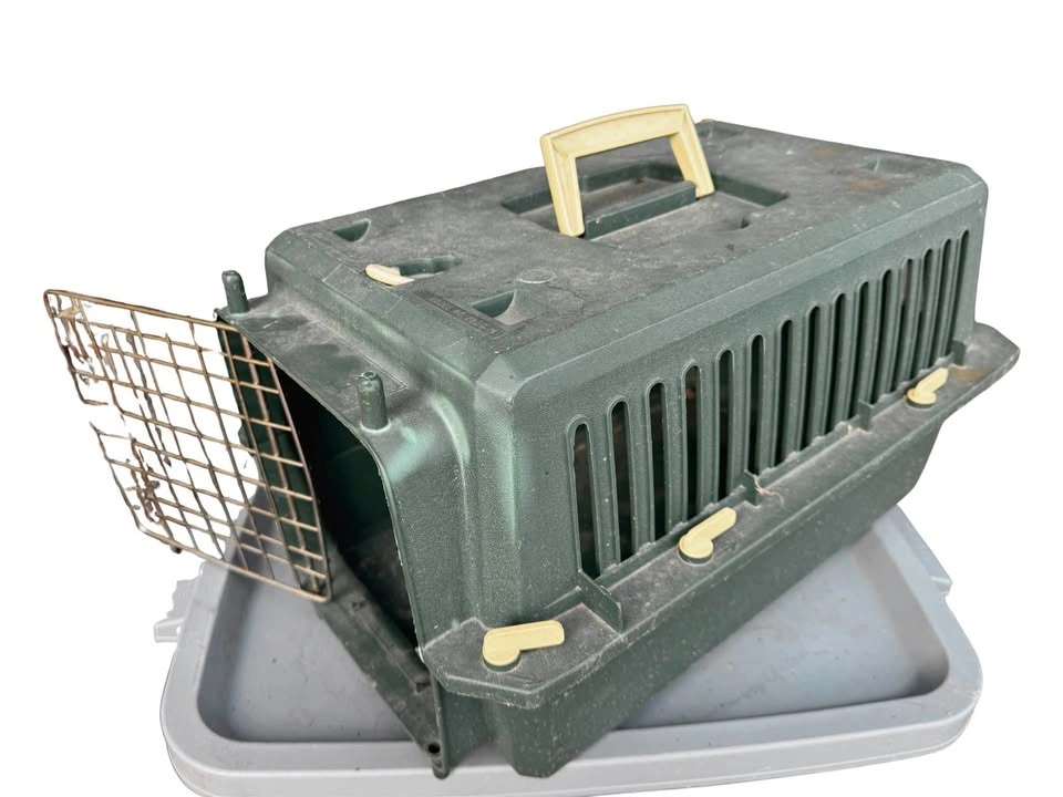 Green pet carrier for cat or small dog