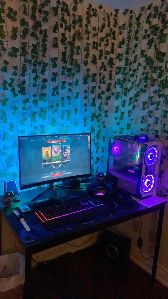 Custom Gaming PC Setup - Ready to Play