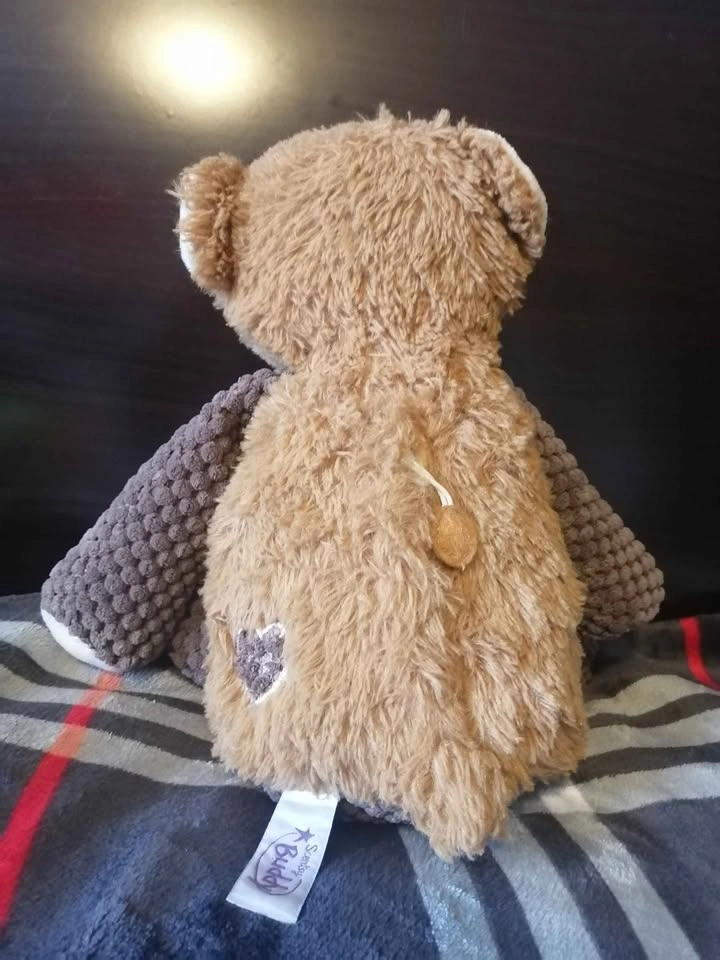 Teddy Bear Scentsy Buddy - photo 2