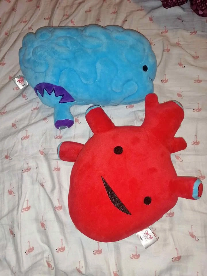 Brain and heart plushies