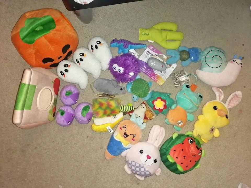 Cat Toys Bundle
