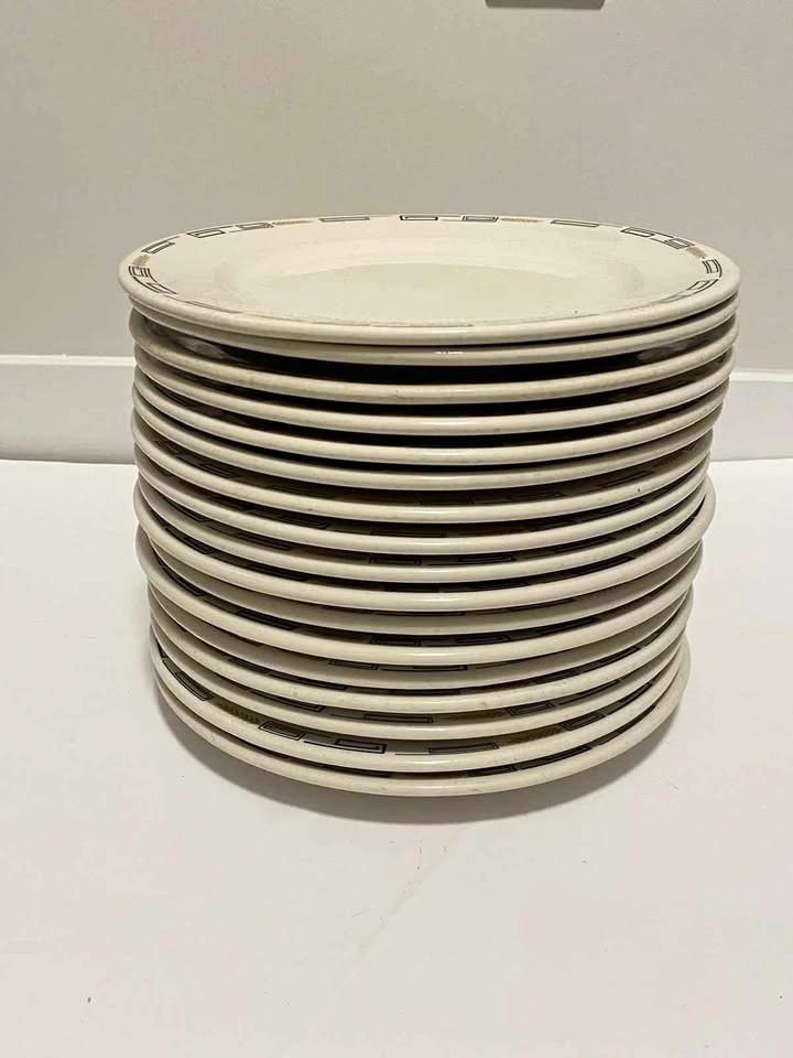 20 Piece Dinner Plate Set