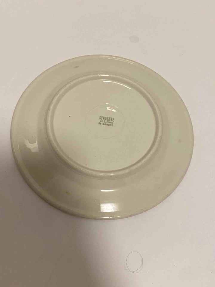20 Piece Dinner Plate Set - photo 3