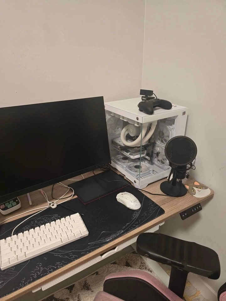 2x 24" Monitors + RTX 4060 PC