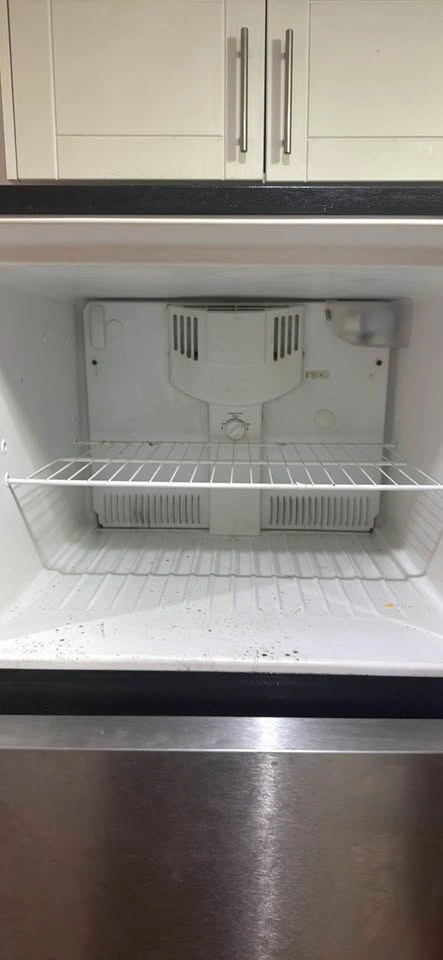Kenmore Stainless Steel Top-Freezer Refrigerator - photo 2