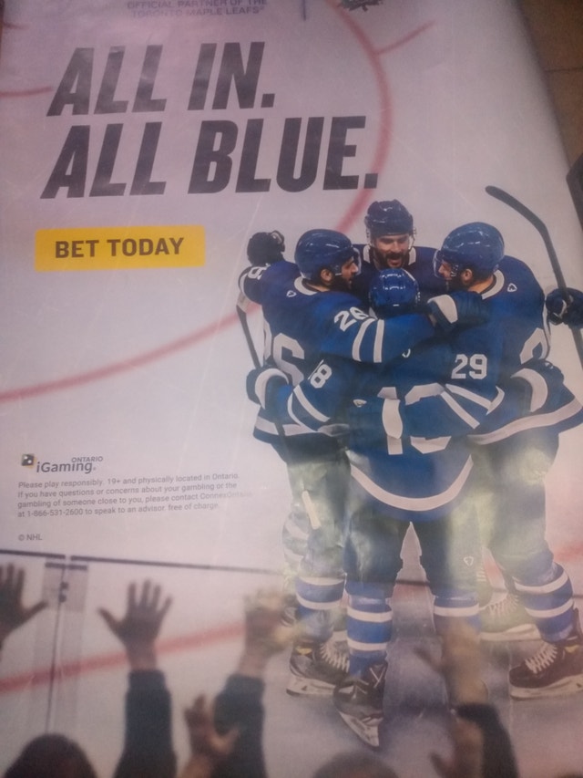 Leafs poster