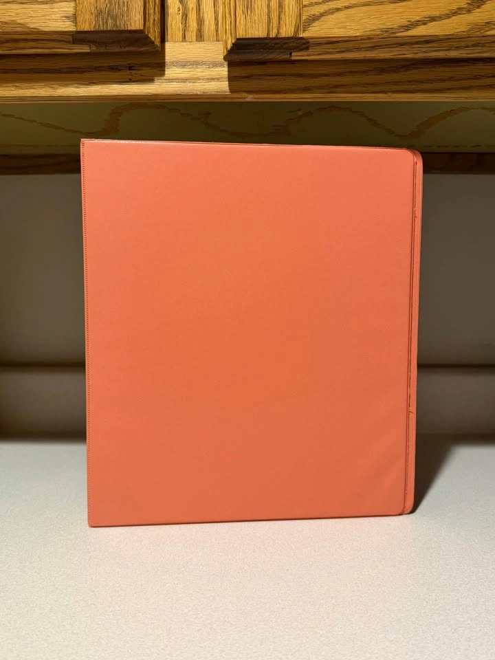 Pink & Blue Binders - photo 2