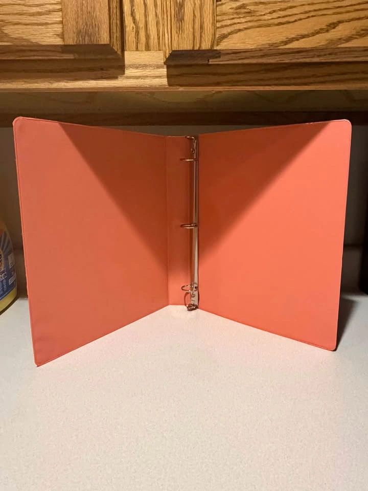 Pink & Blue Binders - photo 4