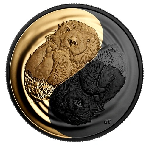 2022 RCM Black & Gold Sea Otter – 1oz Pure Silver Coin - photo 2