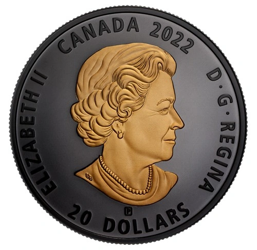 2022 RCM Black & Gold Sea Otter – 1oz Pure Silver Coin - photo 3