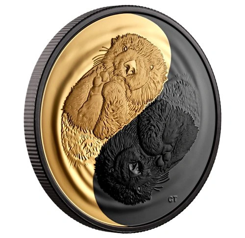 2022 RCM Black & Gold Sea Otter – 1oz Pure Silver Coin - photo 4