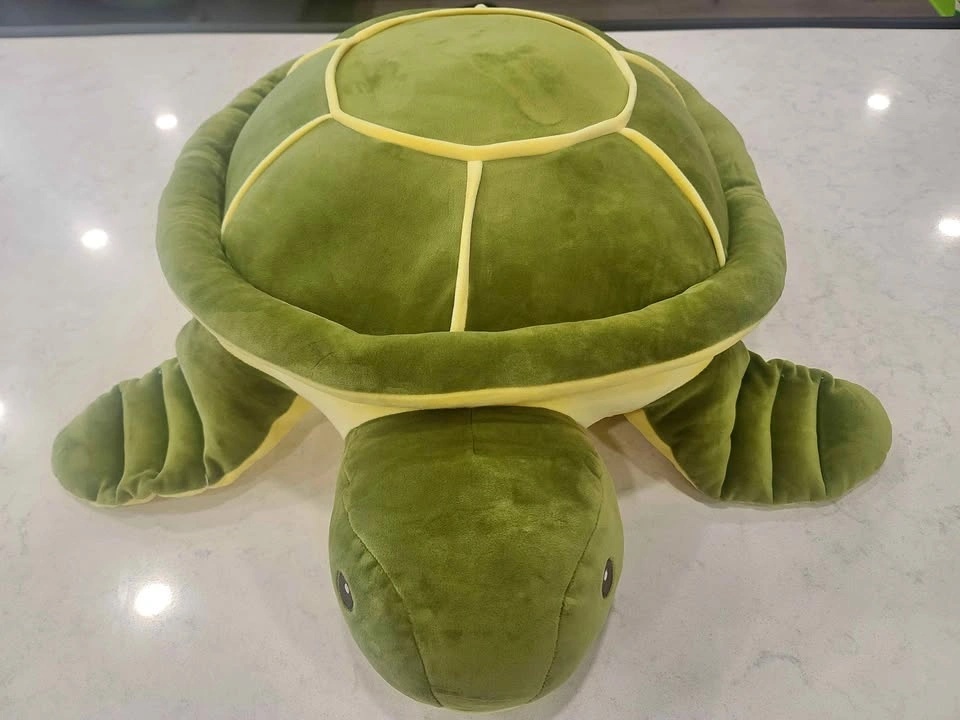 Plush Turtle Pillow