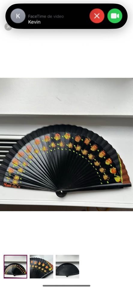 Original hand painted Spanish Black Hand Fan