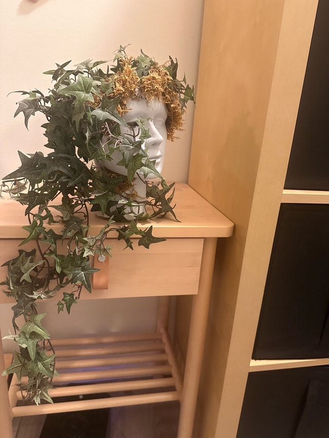 Head Planter with fake Ivy