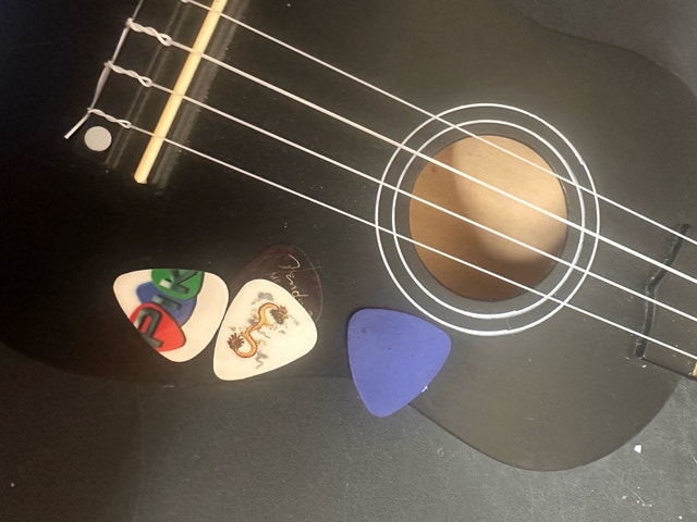 Black ukulele - photo 2