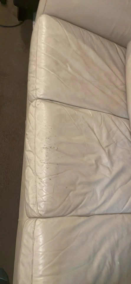Beige Leather Sofa - photo 4