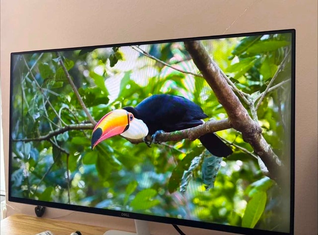 Dell Monitor - photo 4