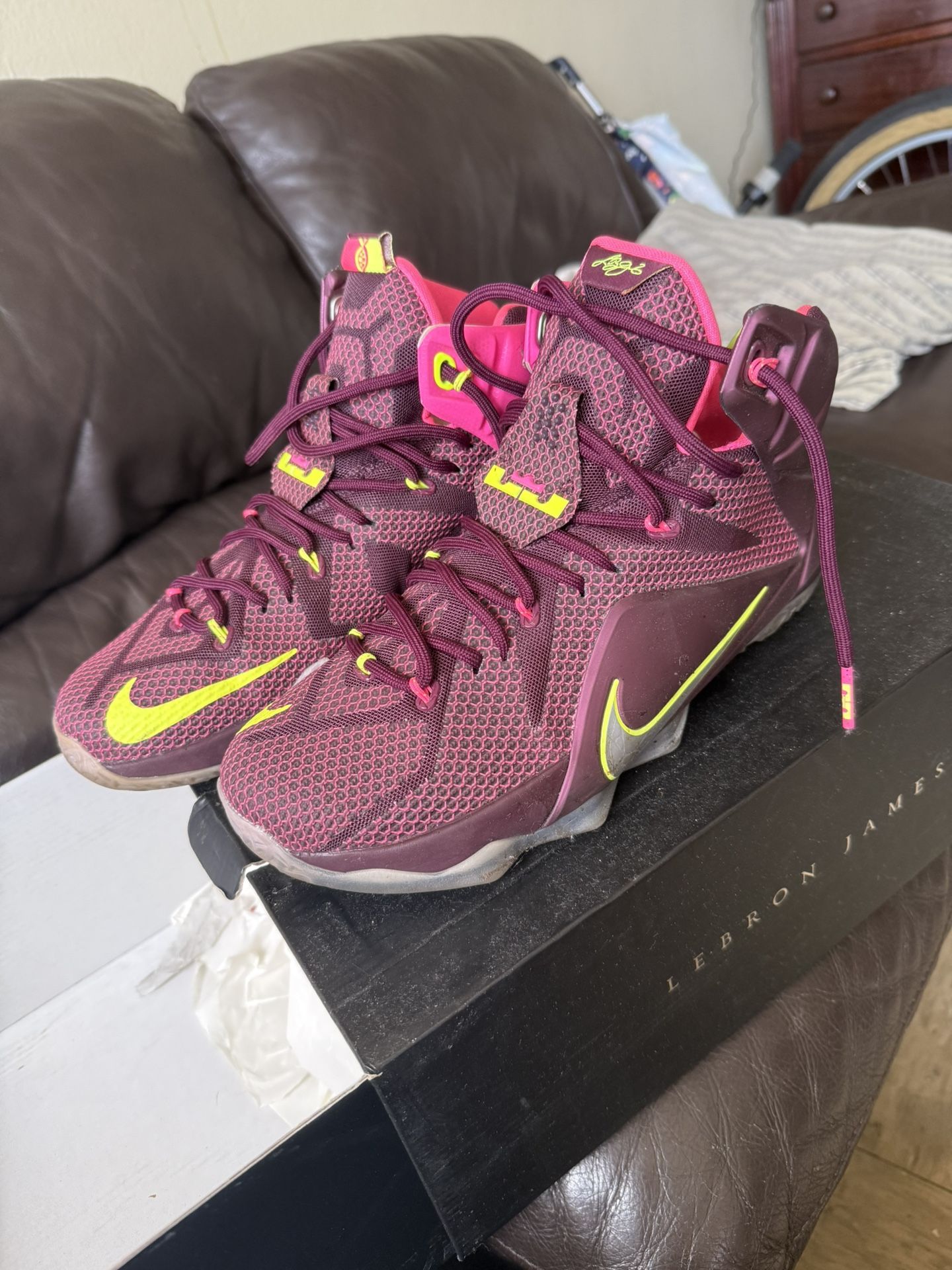 LeBron XII